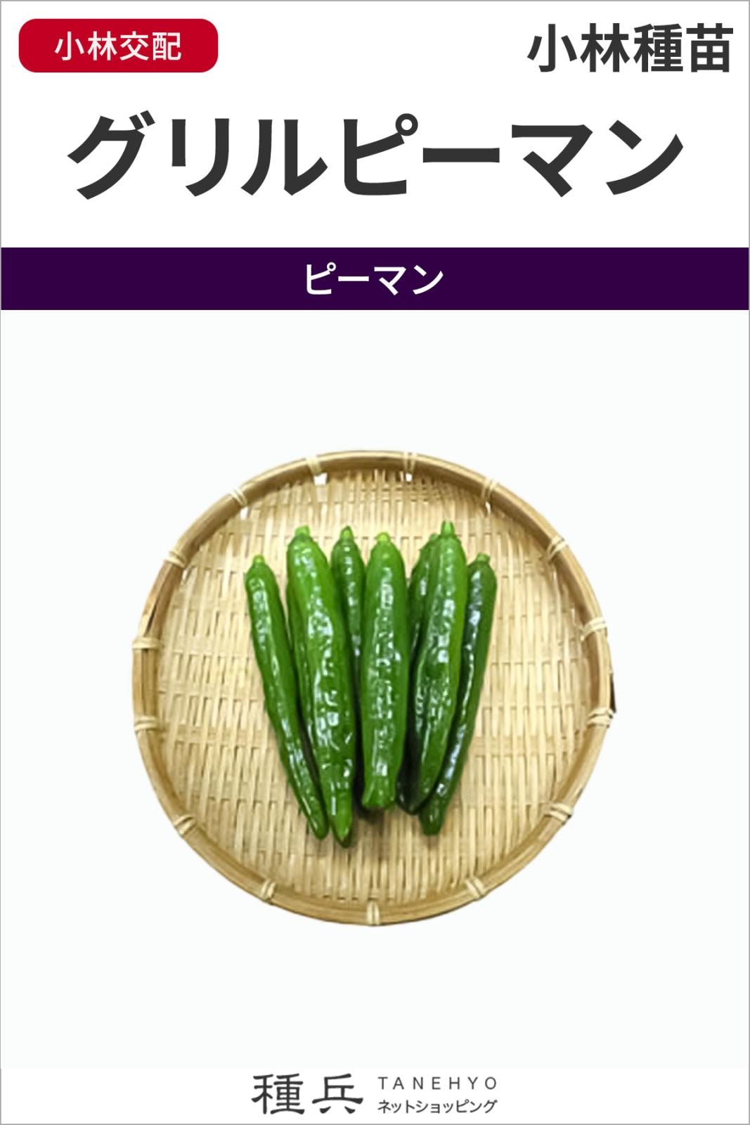 ピーマン 種 『グリルピーマン』  小林種苗