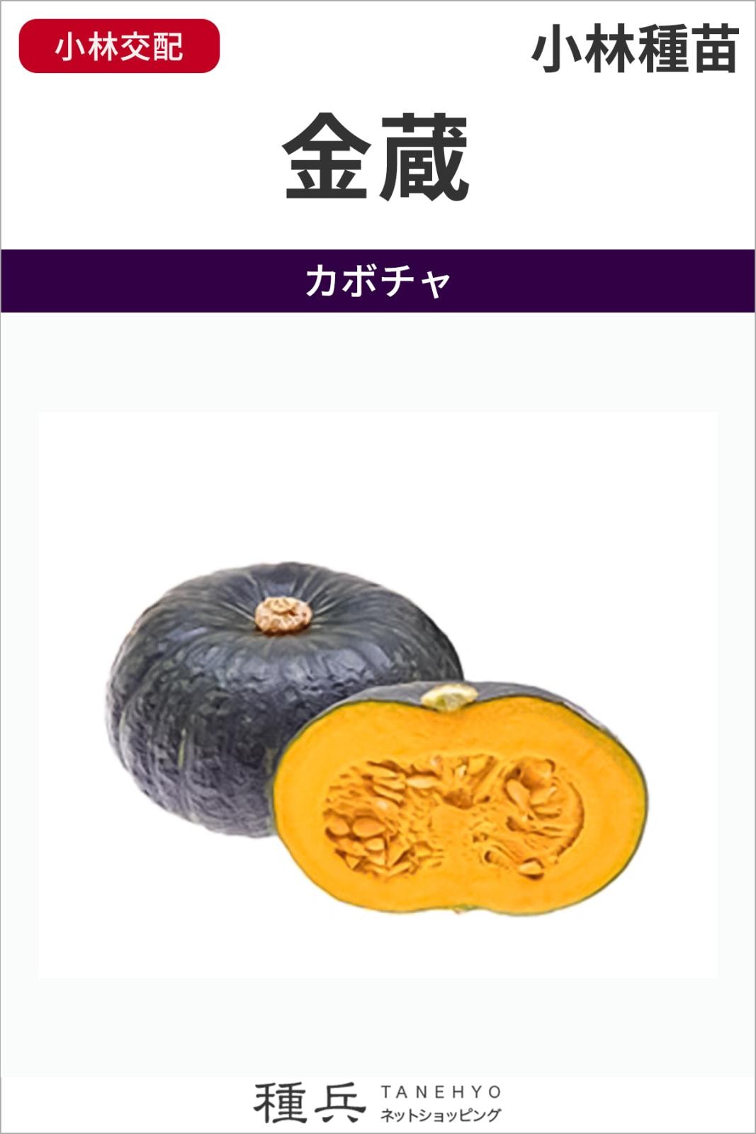 栗カボチャ 種 『金蔵』  小林種苗
