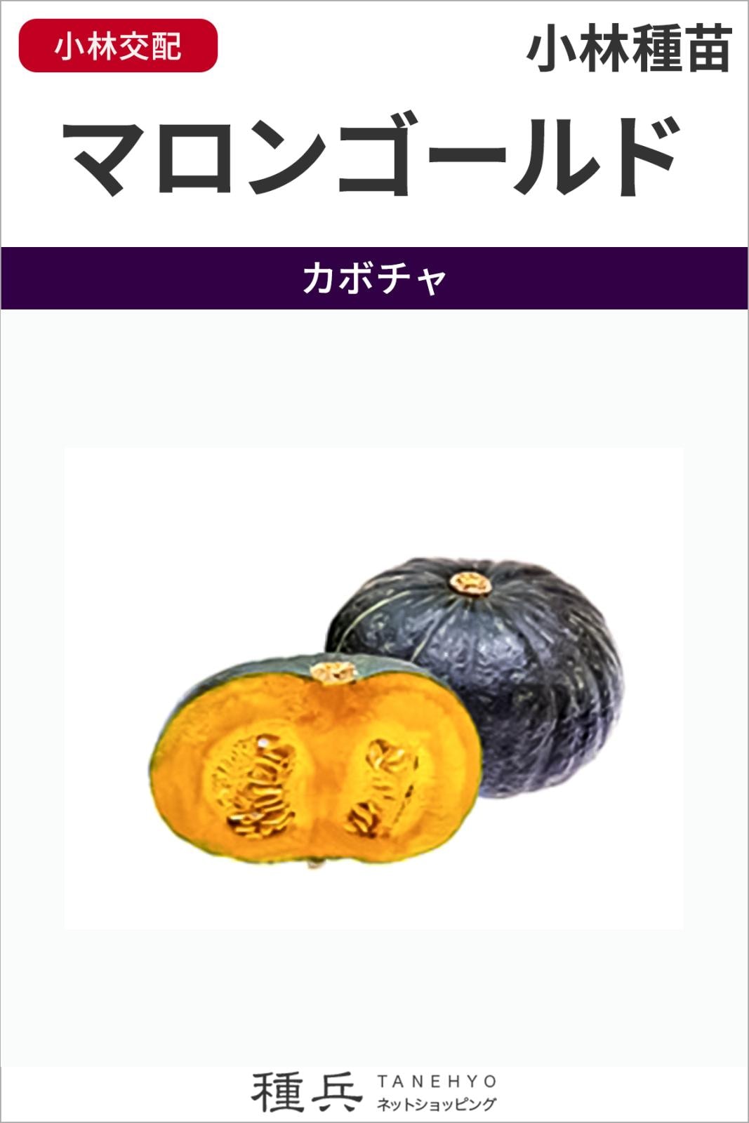 栗カボチャ 種 『マロンゴールド』  小林種苗