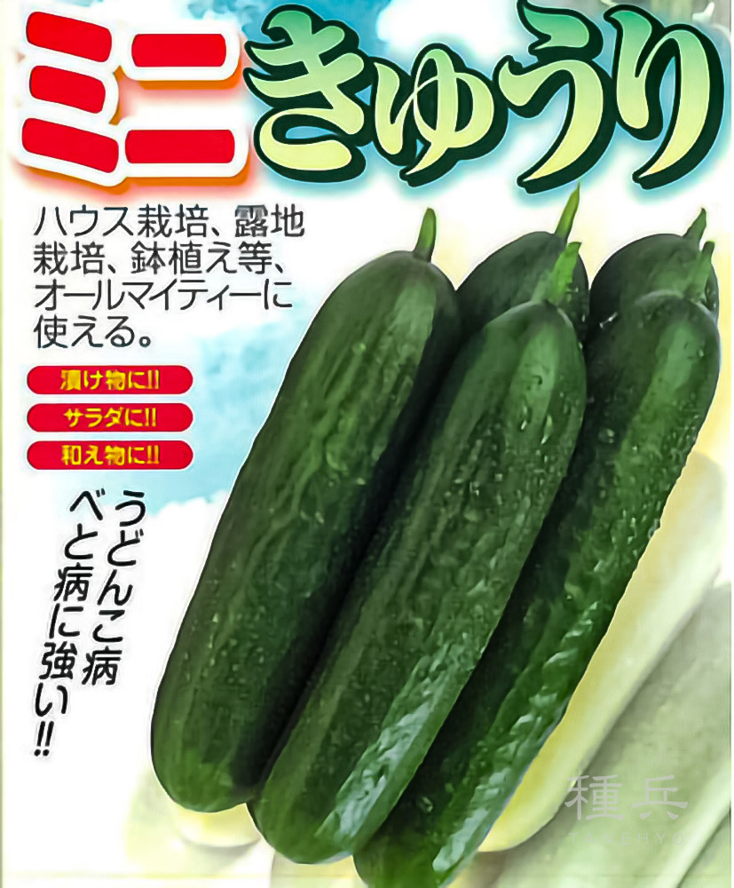 たね,果菜の種,キュウリ | 種兵ネットショッピング