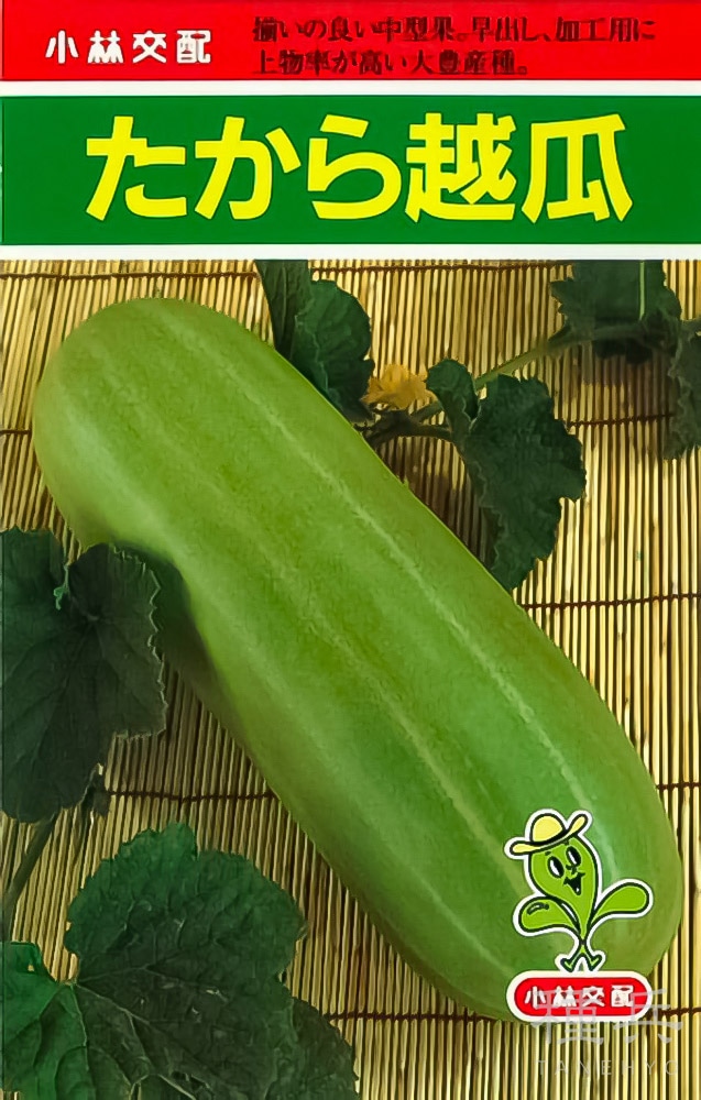 シロウリ 種 『たから越瓜 』  小林種苗