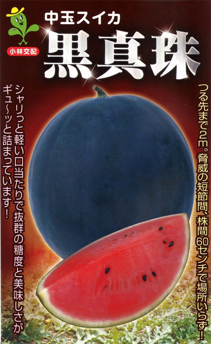 黒皮赤肉スイカ 種 『黒真珠』  小林種苗