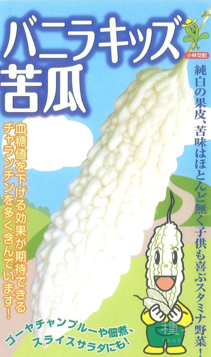 白ゴーヤ 種 『バニラキッズ』  小林種苗