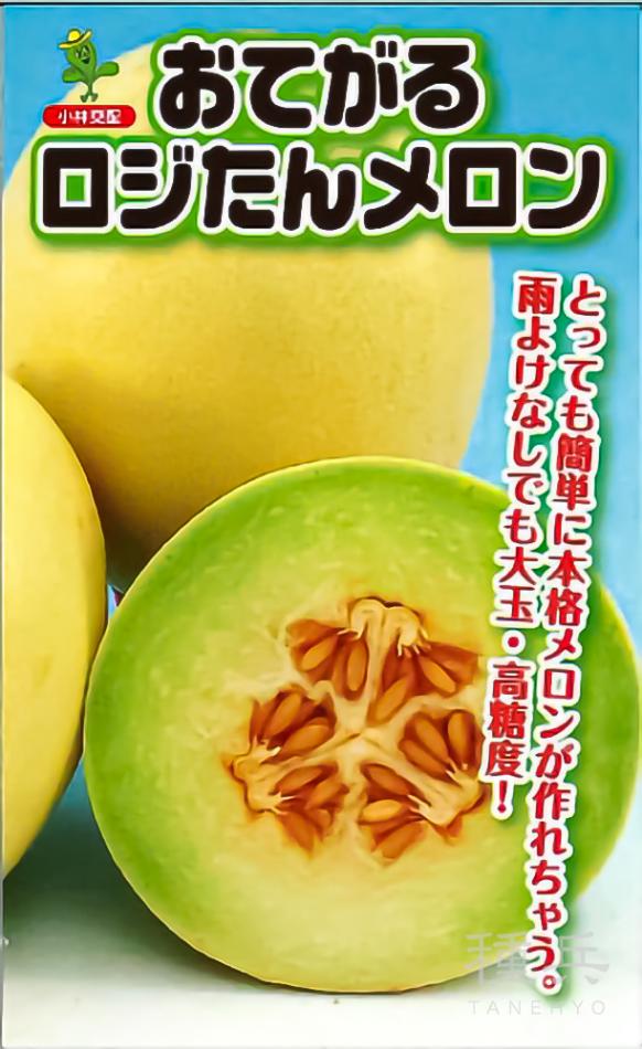 白皮ノーネットメロン 種 『おてがるロジたん』  小林種苗