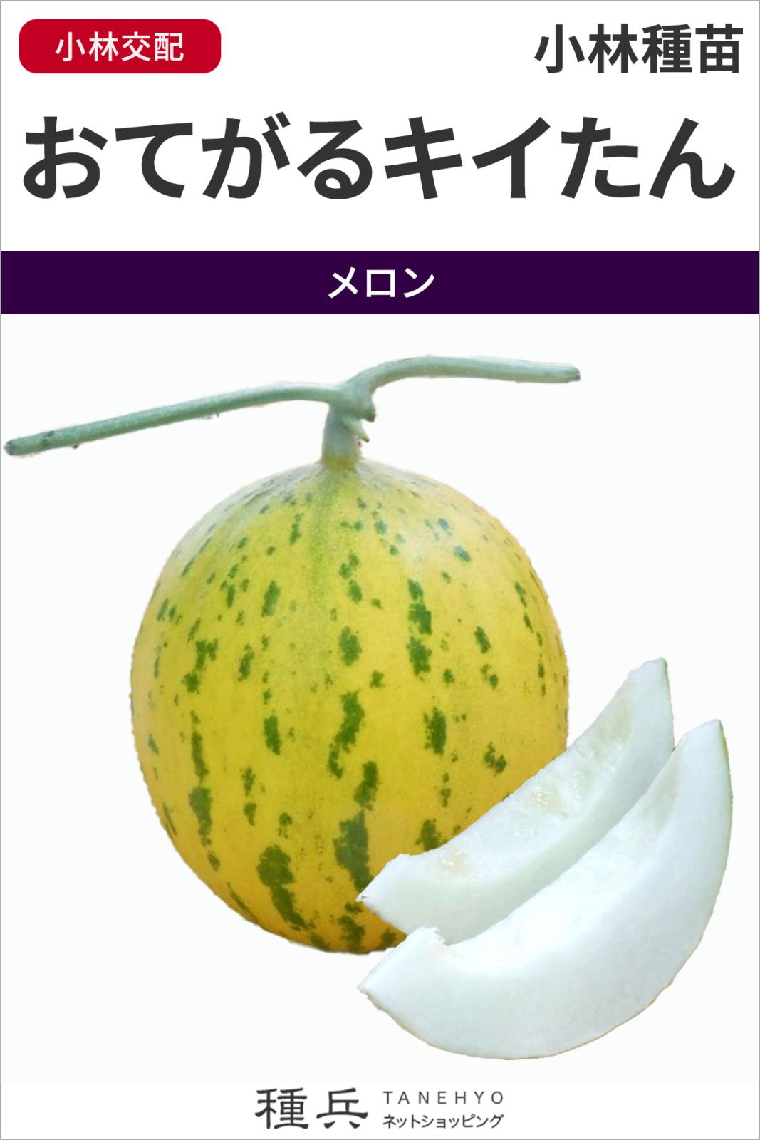 白肉ノーネットメロン 種 『おてがるテンテン』  小林種苗