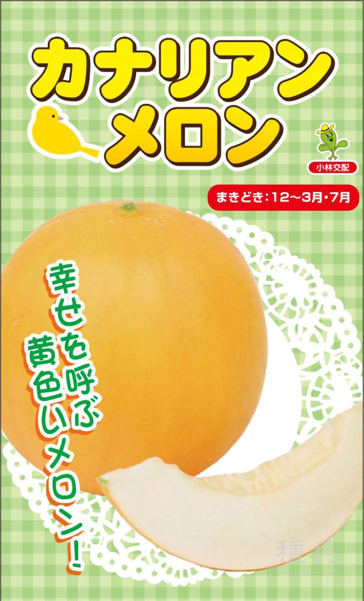 黄皮ノーネットメロン 種 『カナリアン』  小林種苗