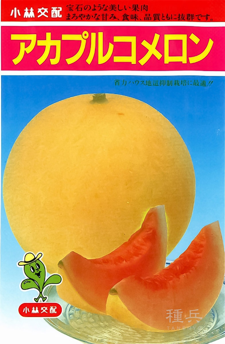 赤肉ノーネットメロン 種 『アカプルコ』  小林種苗