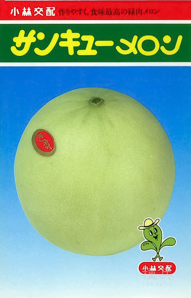 ノーネットメロン 種 『サンキュー』  小林種苗