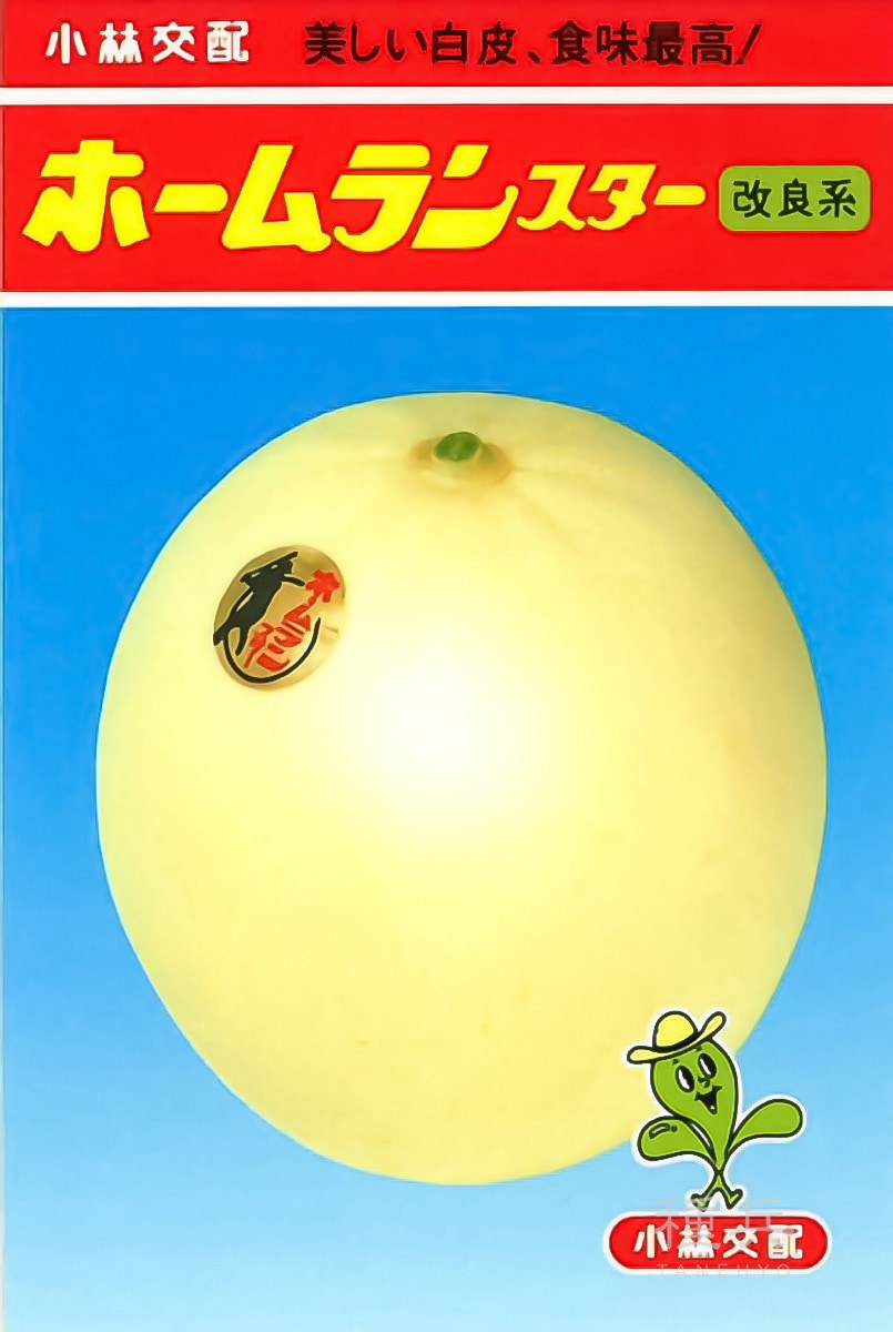 ノーネットメロン 種 『ホームランスター改良系』  小林種苗