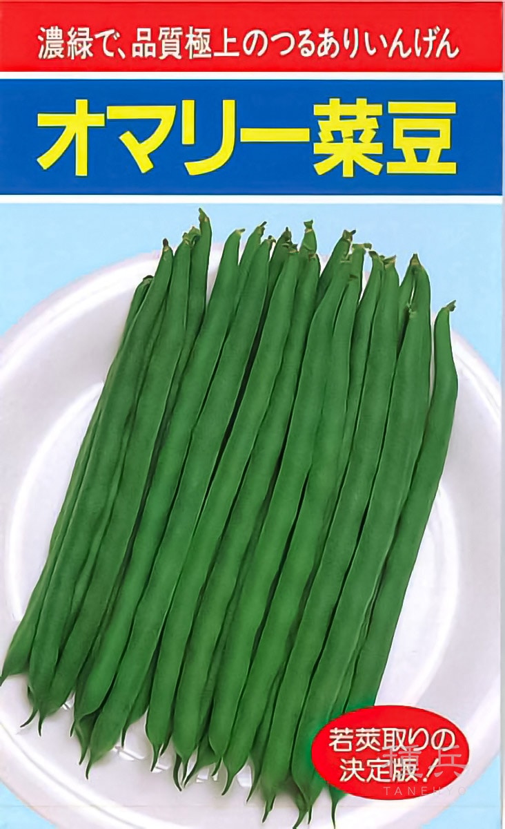 つるありインゲン 種 『オマリー』  小林種苗
