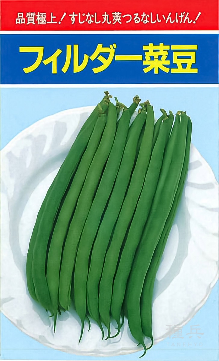 つるなしインゲン 種 『フィルダー』  小林種苗