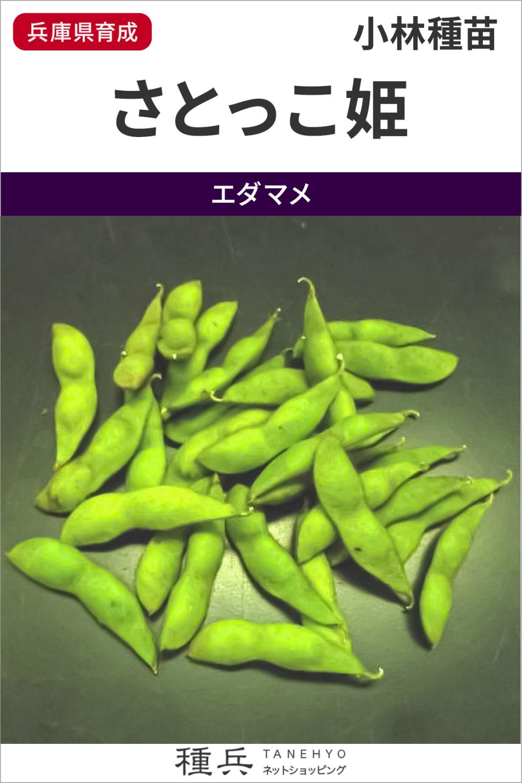 黒エダマメ 種 『さとっこ姫』  小林種苗