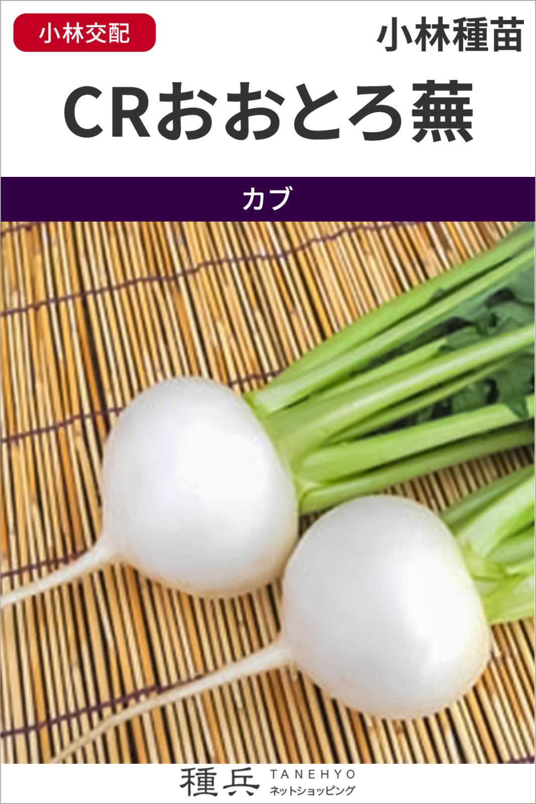 カブ 種 『CRおおとろ蕪』  小林種苗