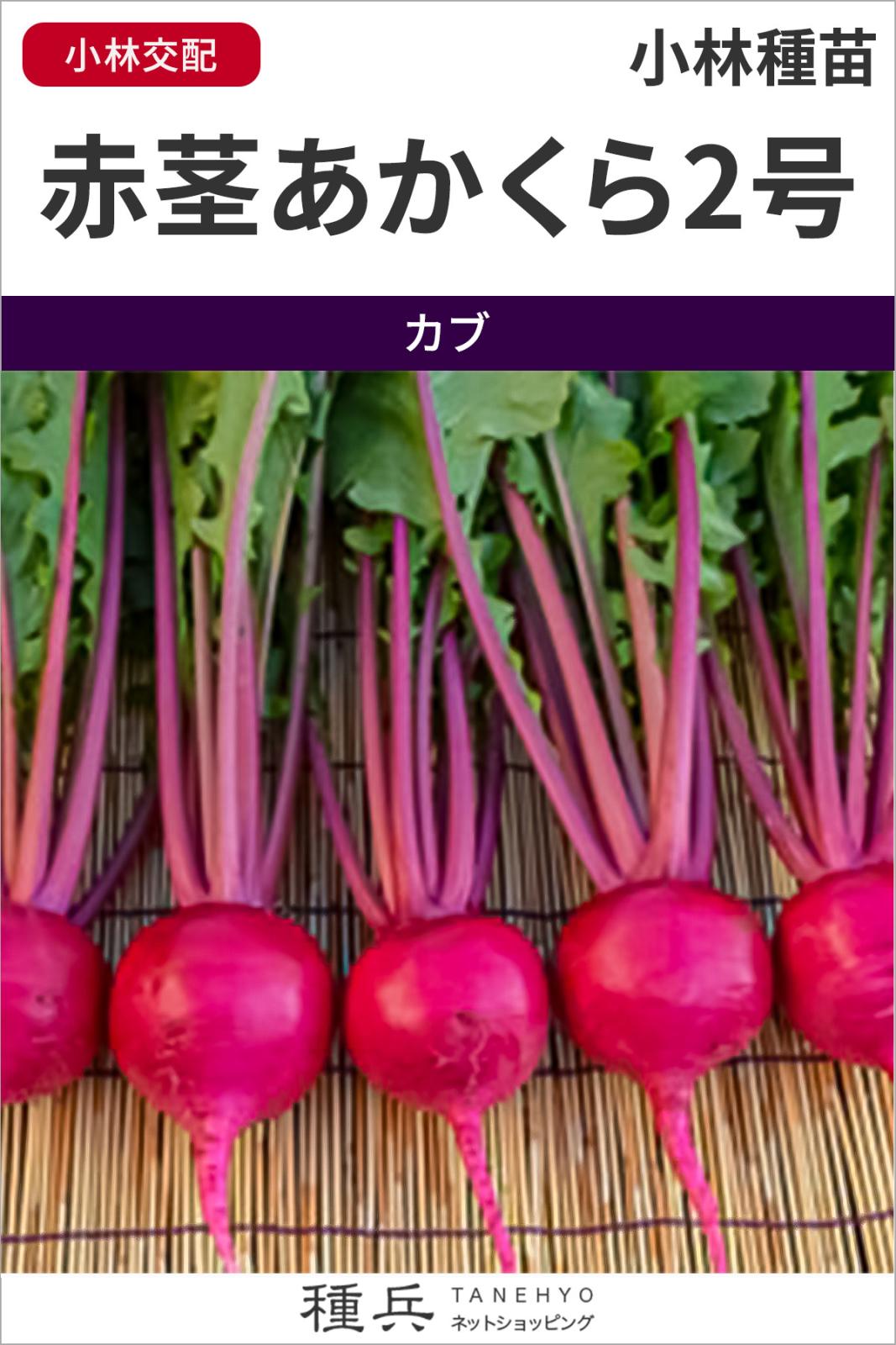 赤カブ 種 『赤茎あかくら2号』  小林種苗