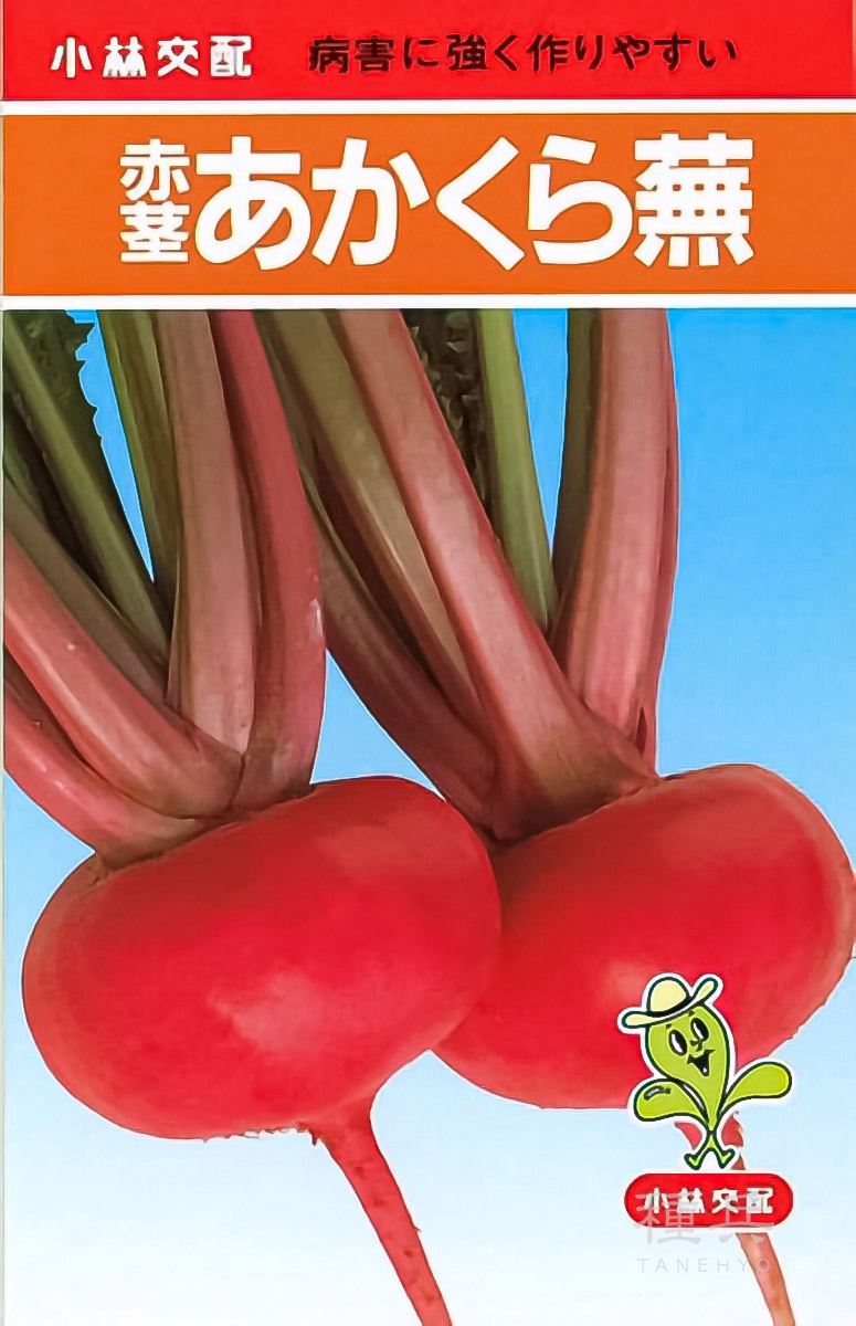 赤カブ 種 『赤茎あかくら』  小林種苗
