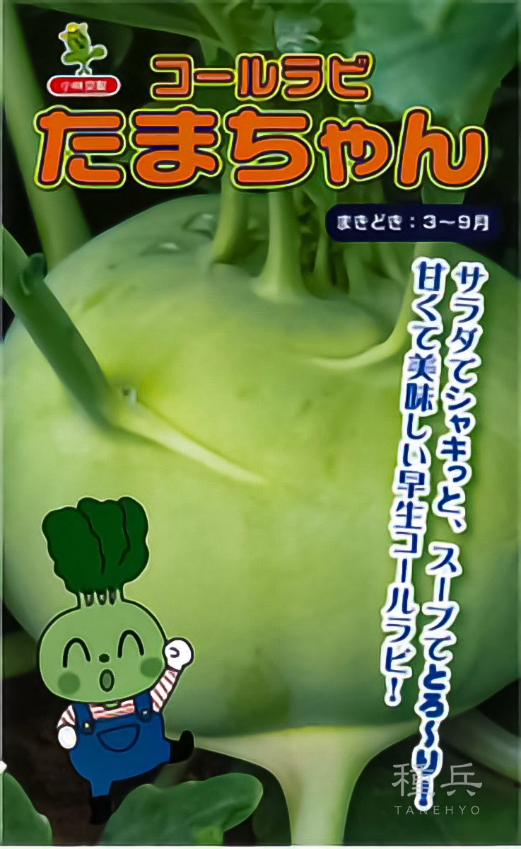コールラビ 種 『たまちゃん』  小林種苗