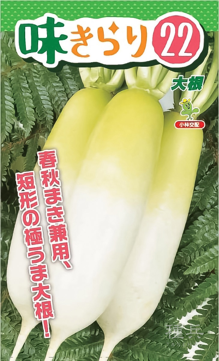 ダイコン 種 『味きらり22』  小林種苗