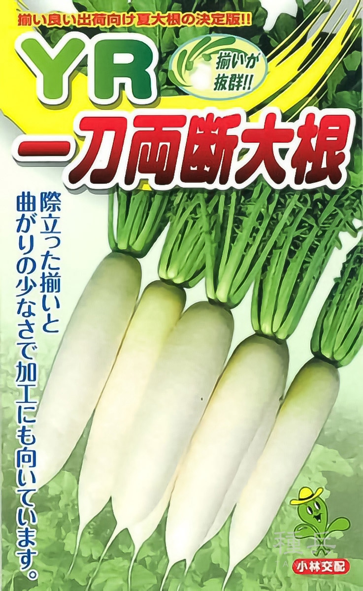 ダイコン 種 『YR一刀両断』  小林種苗