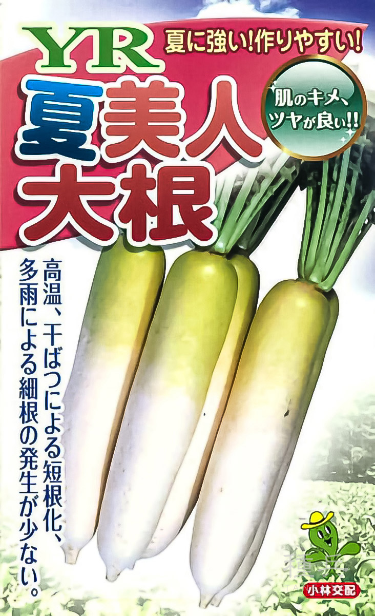 ダイコン 種 『YR夏美人』  小林種苗