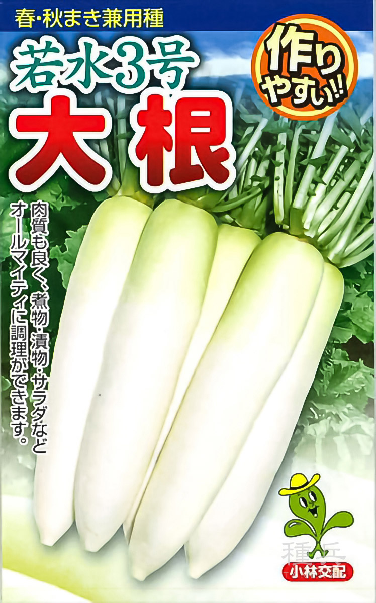 ダイコン 種 『若水3号』  小林種苗