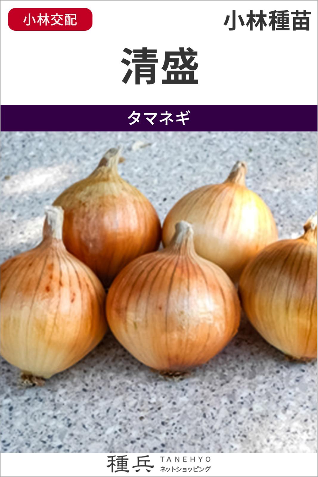 たね,根菜の種,タマネギ | 種兵ネットショッピング