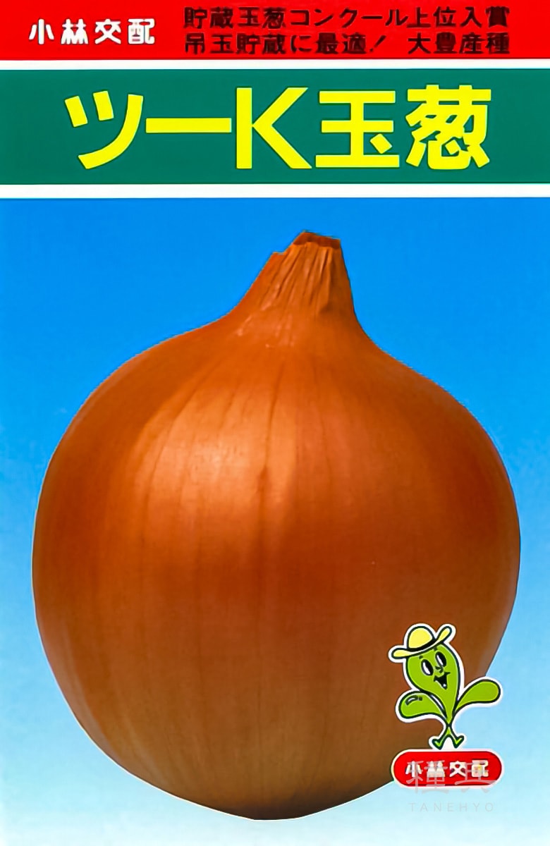 中晩生タマネギ 種 『ツーK』  小林種苗
