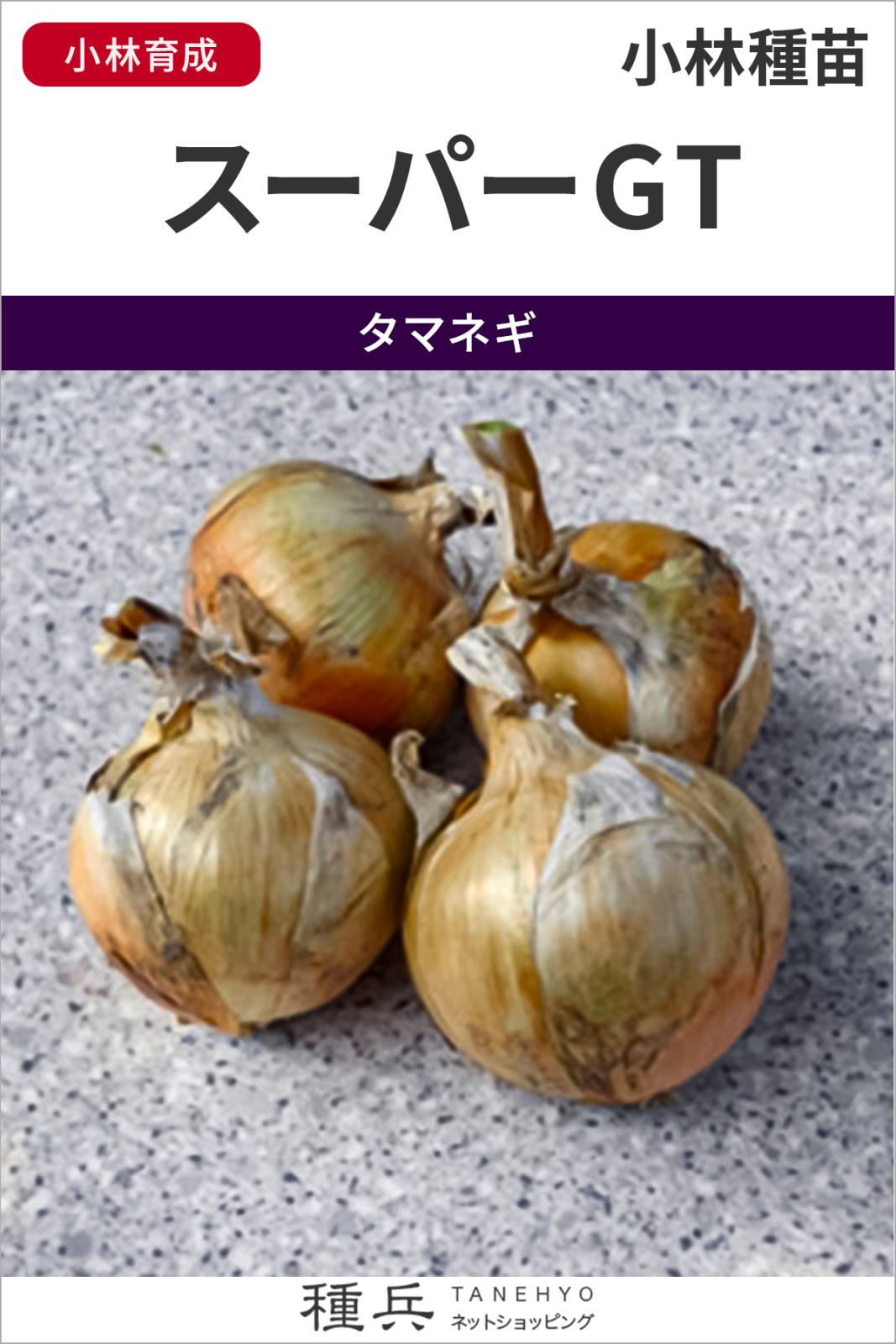 極早生タマネギ 種 『スーパーGT』  小林種苗