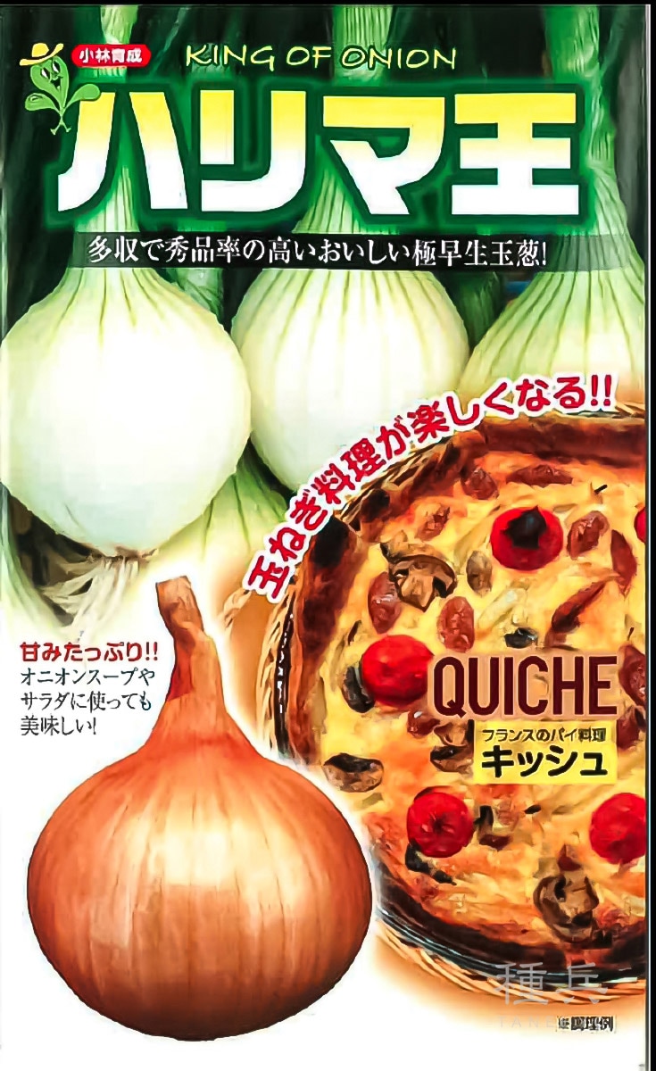 極早生タマネギ 種 『ハリマ王』  小林種苗