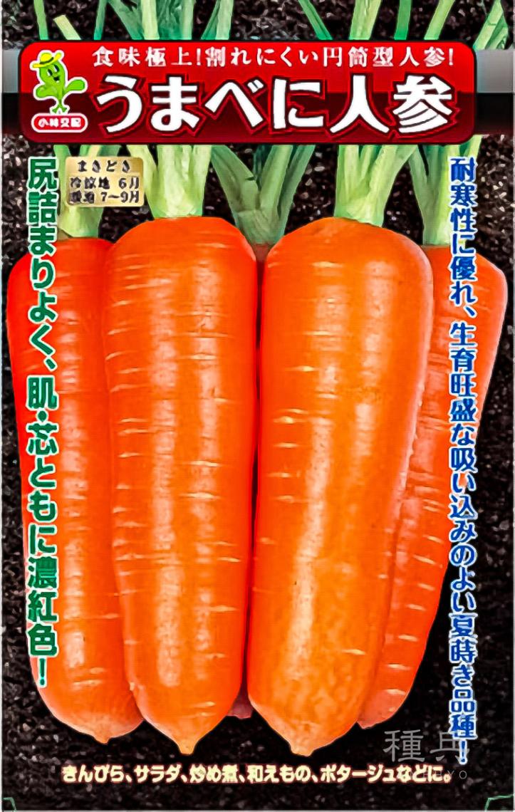 たね,根菜の種,ニンジン | 種兵ネットショッピング