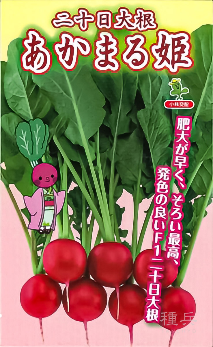 ハツカダイコン 種 『あかまる姫』  小林種苗