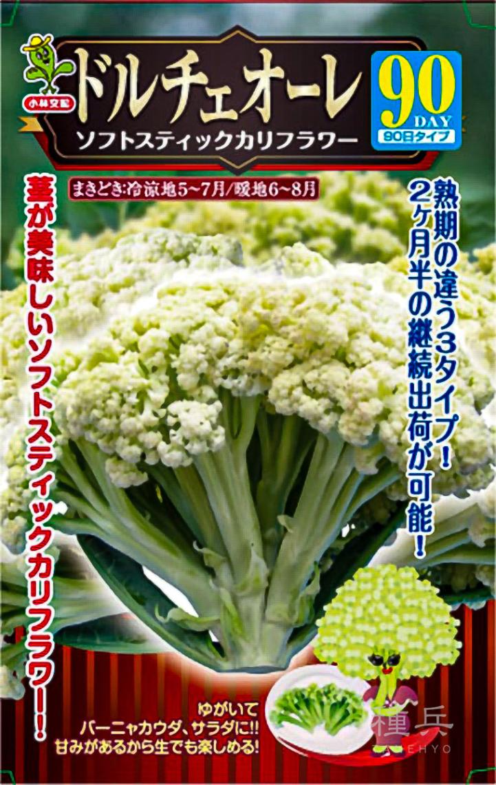 カリフラワー 種 『ドルチェオーレ90』  小林種苗