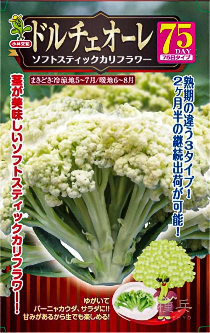カリフラワー 種 『ドルチェオーレ75』  小林種苗
