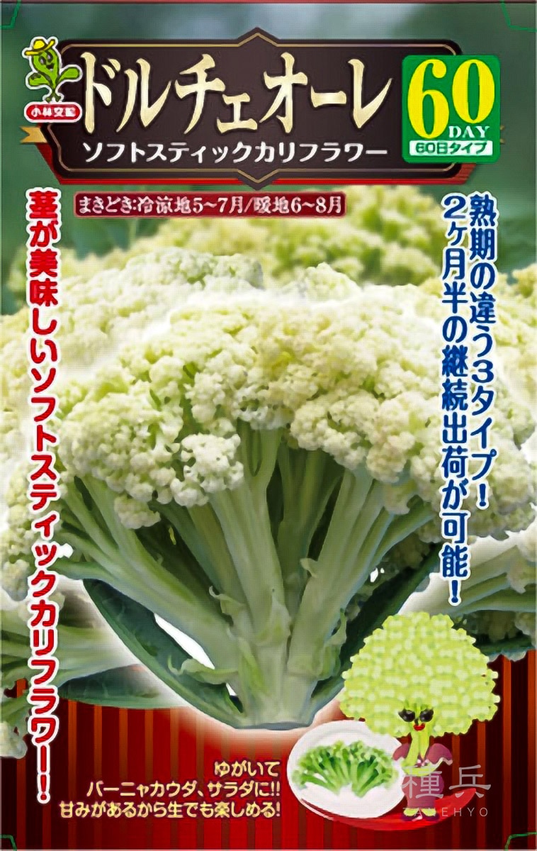 カリフラワー 種 『ドルチェオーレ60』  小林種苗