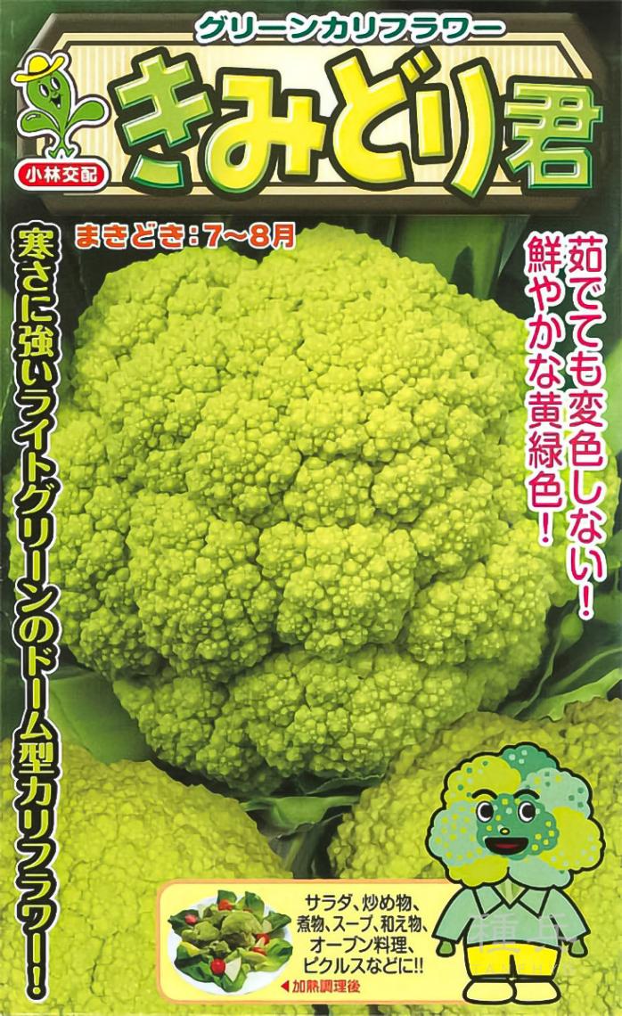 黄緑カリフラワー 種 『きみどり君』  小林種苗