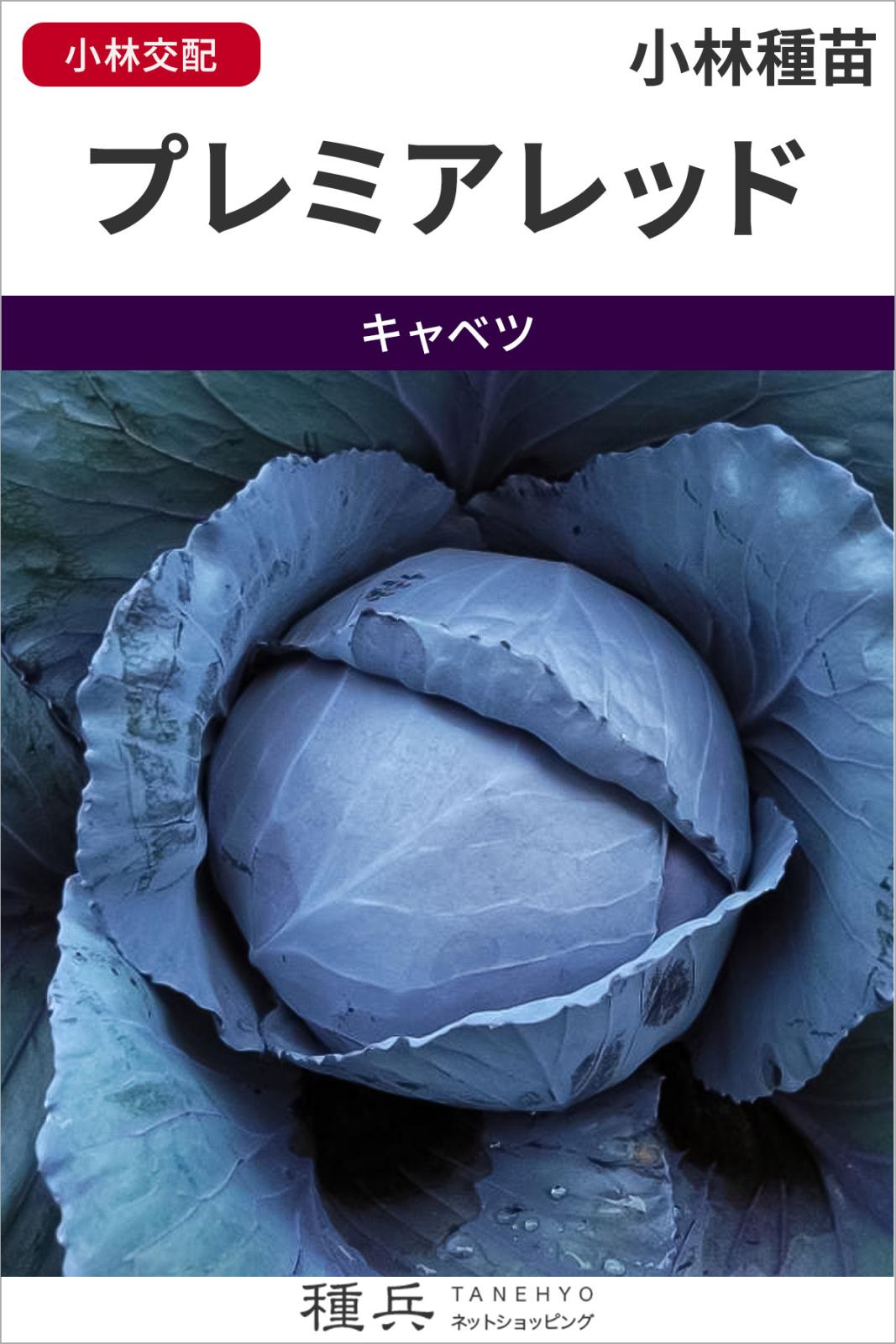 レッドキャベツ 種 『プレミアレッド』  小林種苗