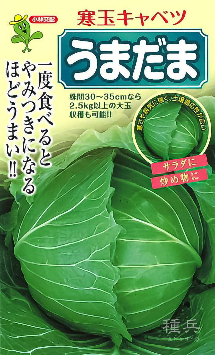 寒玉キャベツ 種 『うまだま』  小林種苗