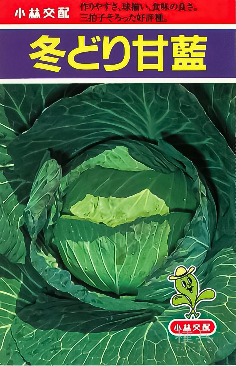 キャベツ 種 『冬どり甘藍』  小林種苗