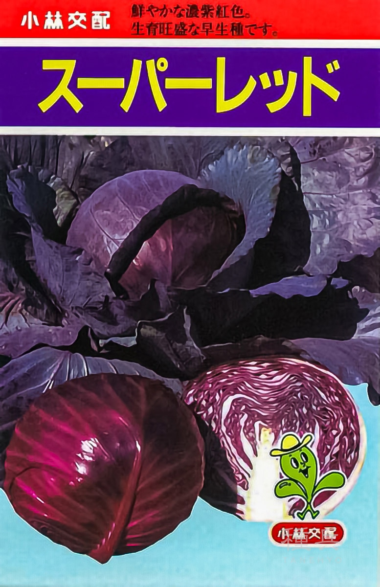 赤キャベツ 種 『スーパーレッド』  小林種苗