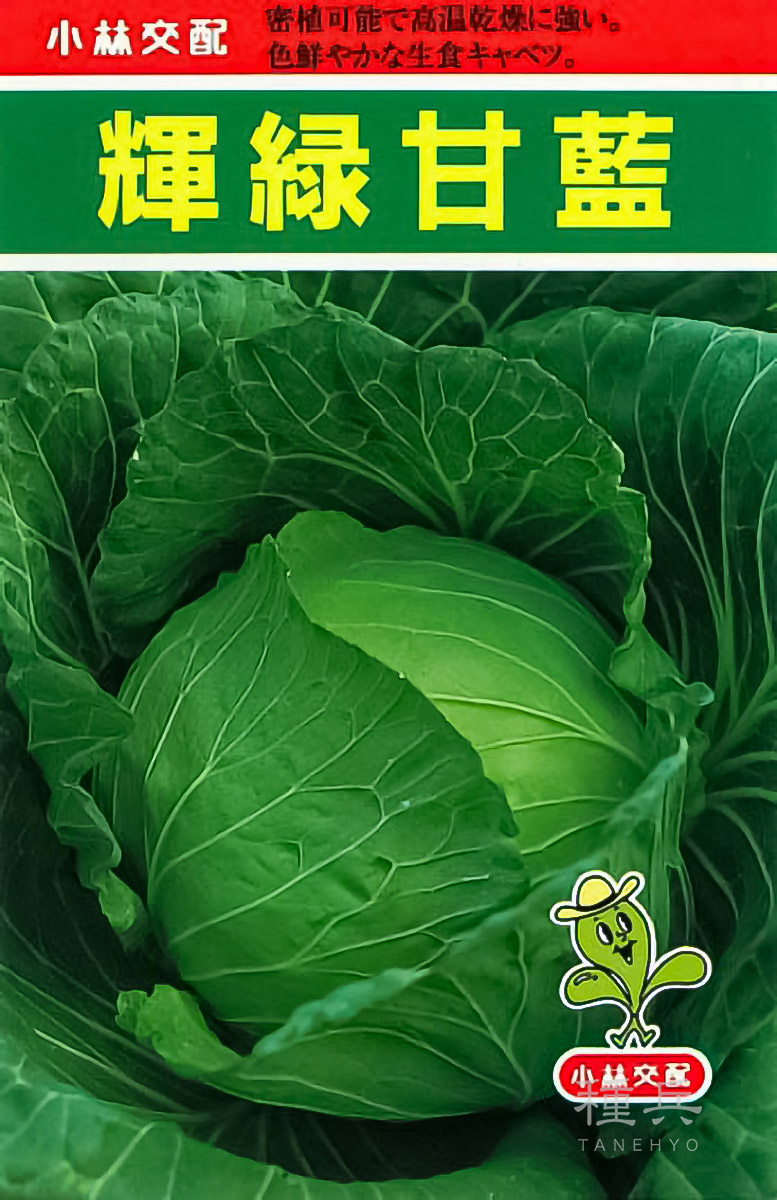 キャベツ 種 『輝緑甘藍』  小林種苗