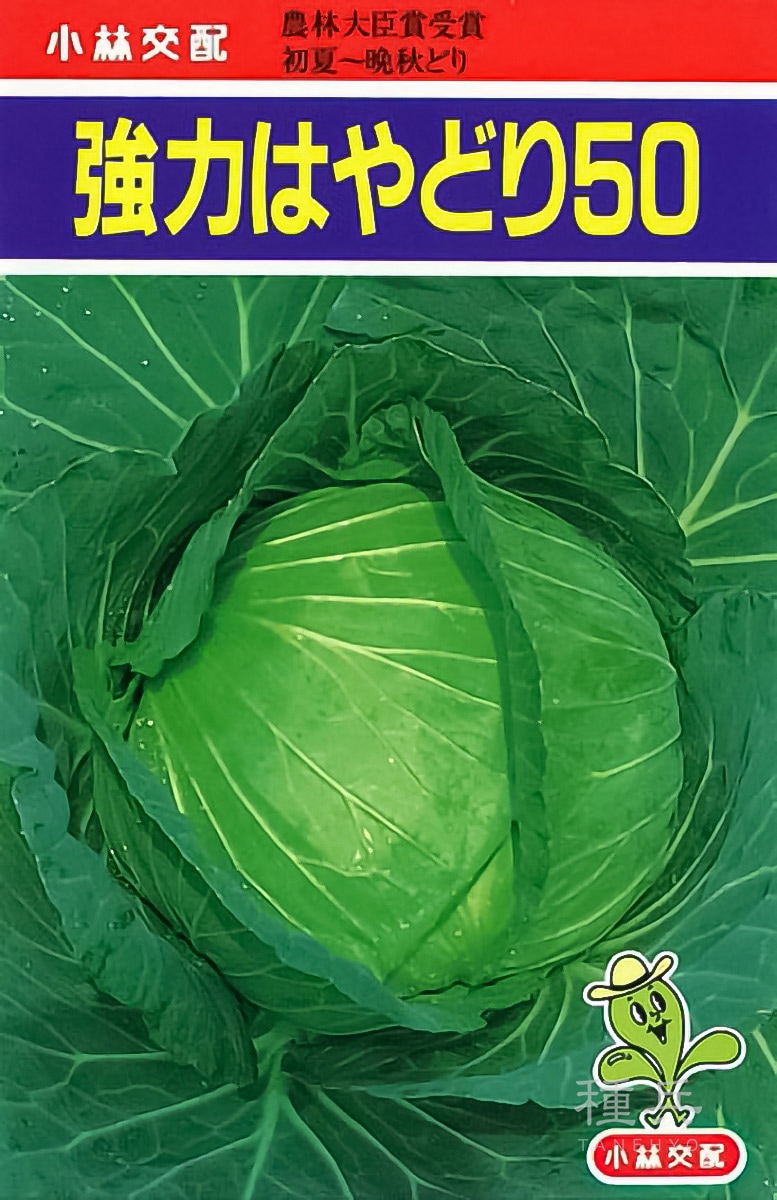 キャベツ 種 『強力はやどり50』  小林種苗