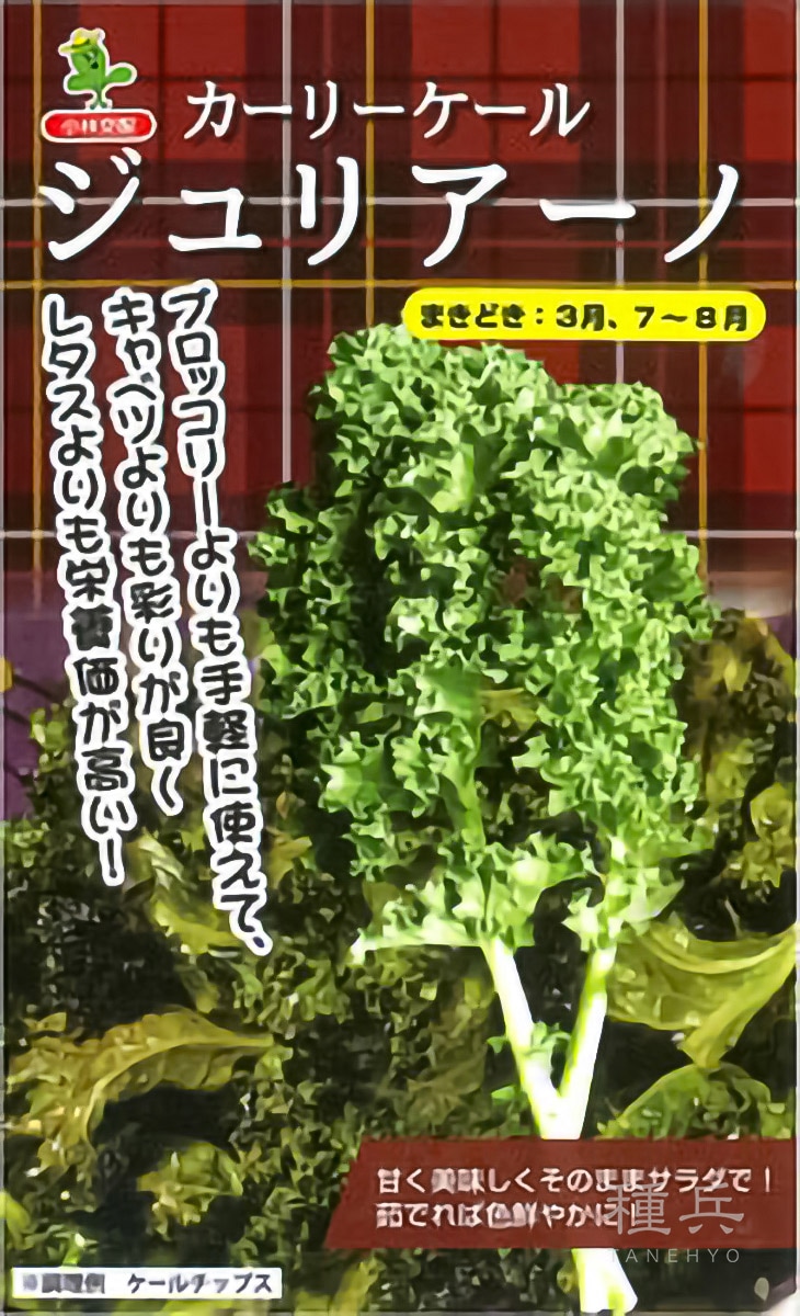 ケール 種 『ジュリアーノ』  小林種苗