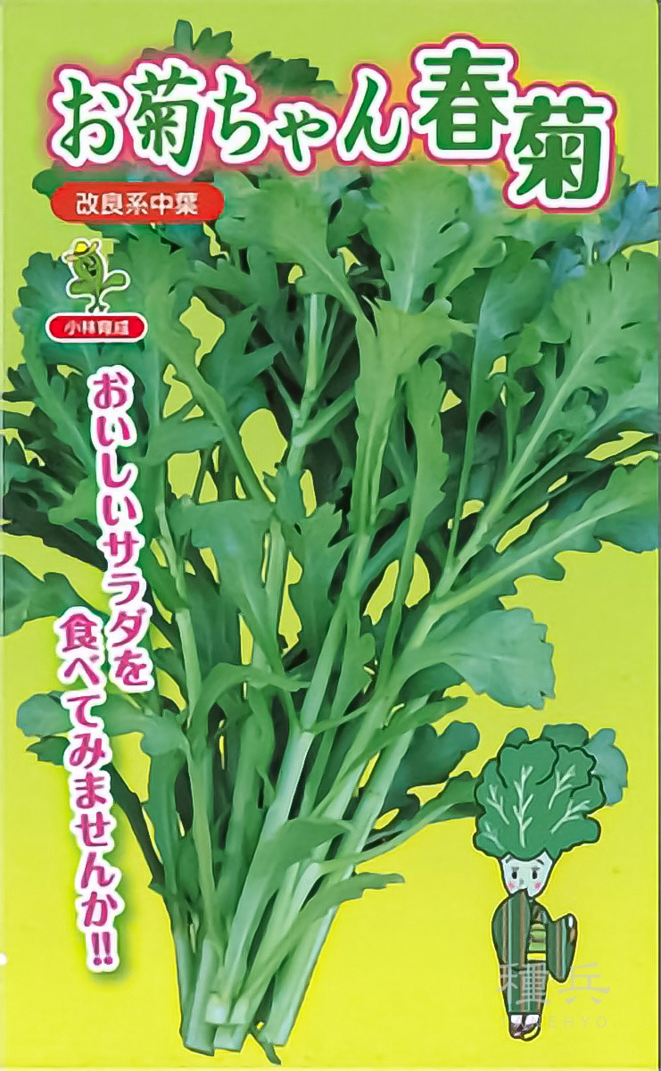 シュンギク 種 『お菊ちゃん春菊』  小林種苗