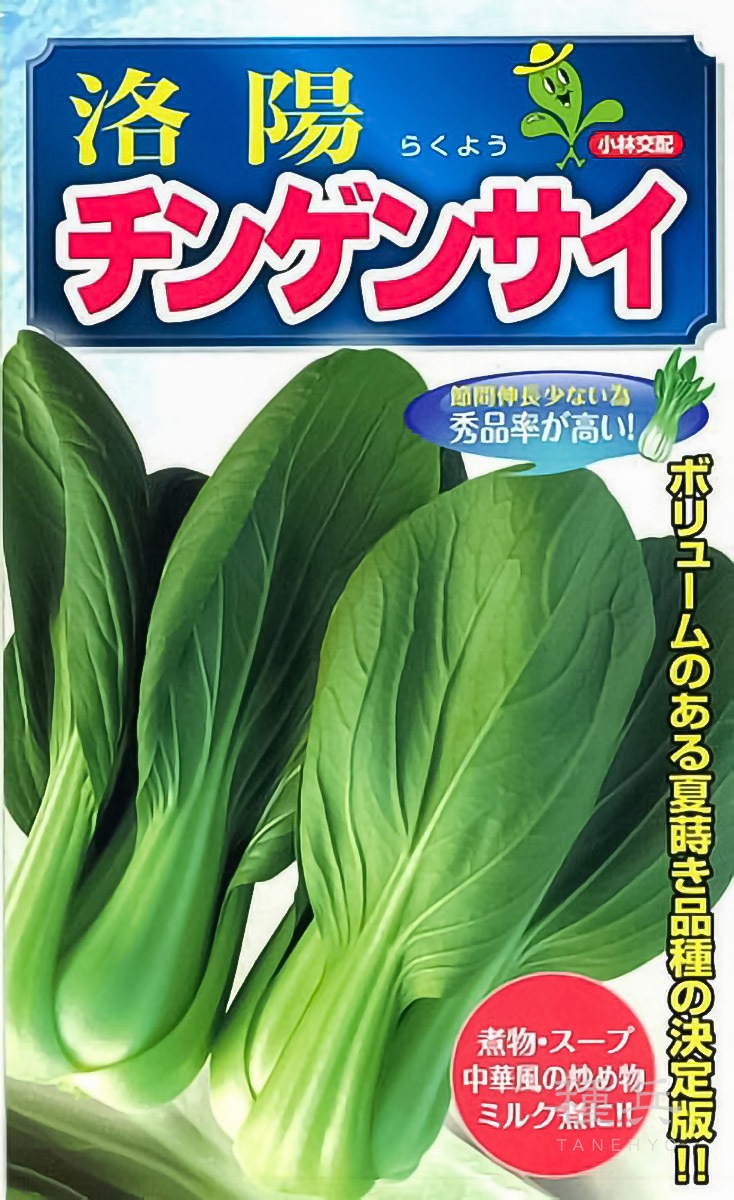 チンゲンサイ 種 『洛陽』  小林種苗