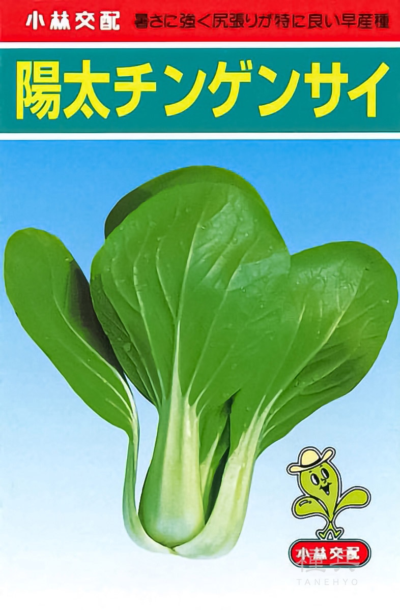 チンゲンサイ 種 『陽太』  小林種苗