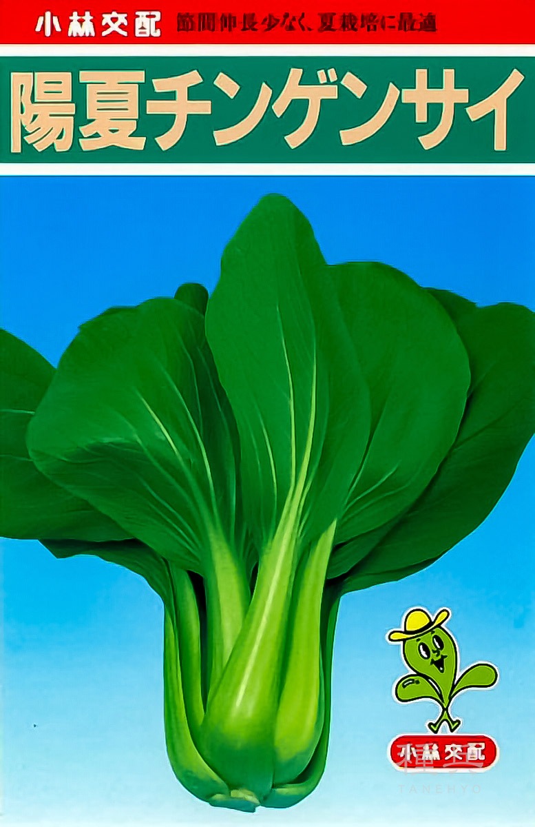 チンゲンサイ 種 『陽夏』  小林種苗
