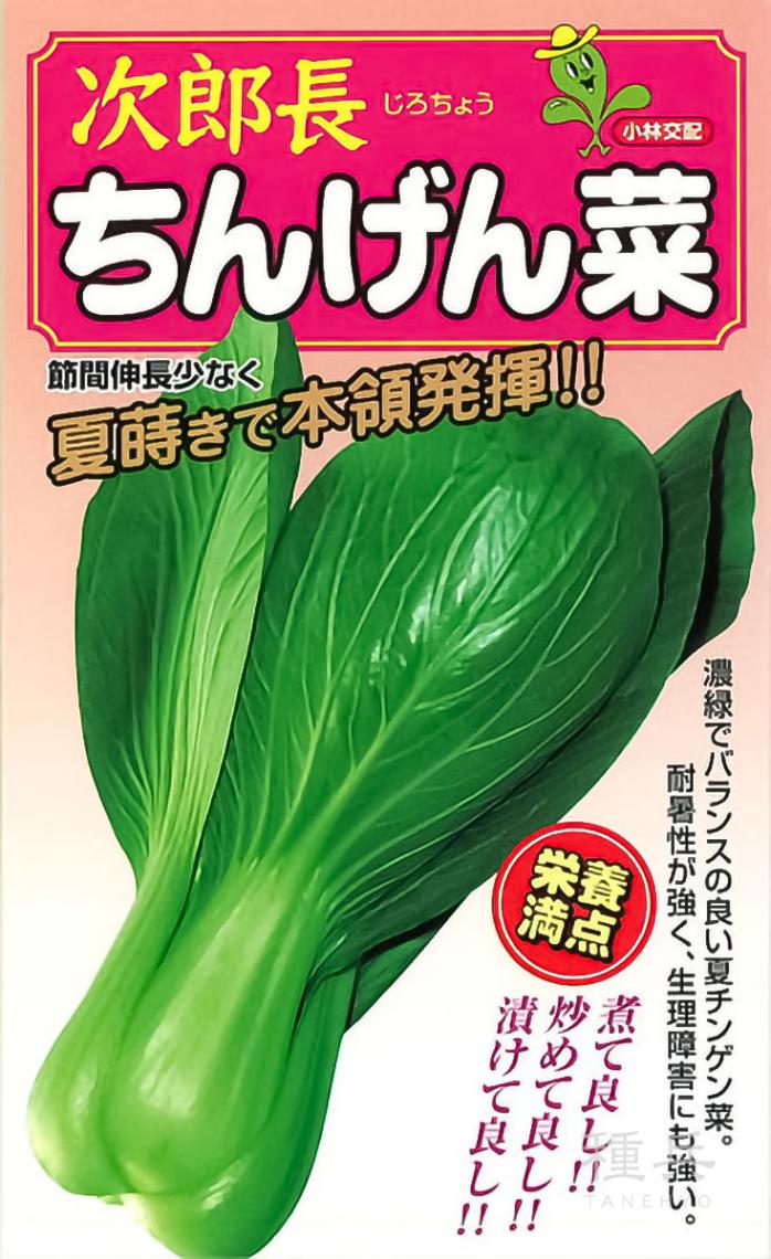 チンゲンサイ 種 『次郎長』  小林種苗