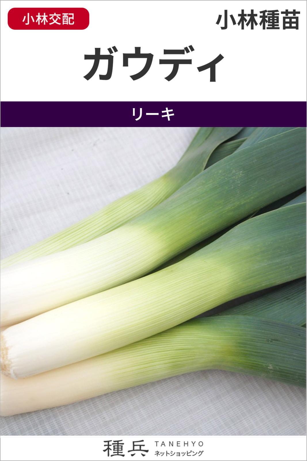 リーキ 種 『ガウディ』  小林種苗