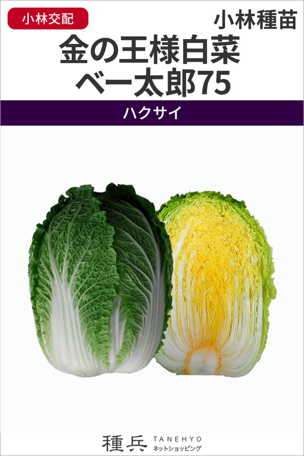 ハクサイ 種 『金の王様白菜 ベー太郎75』  小林種苗