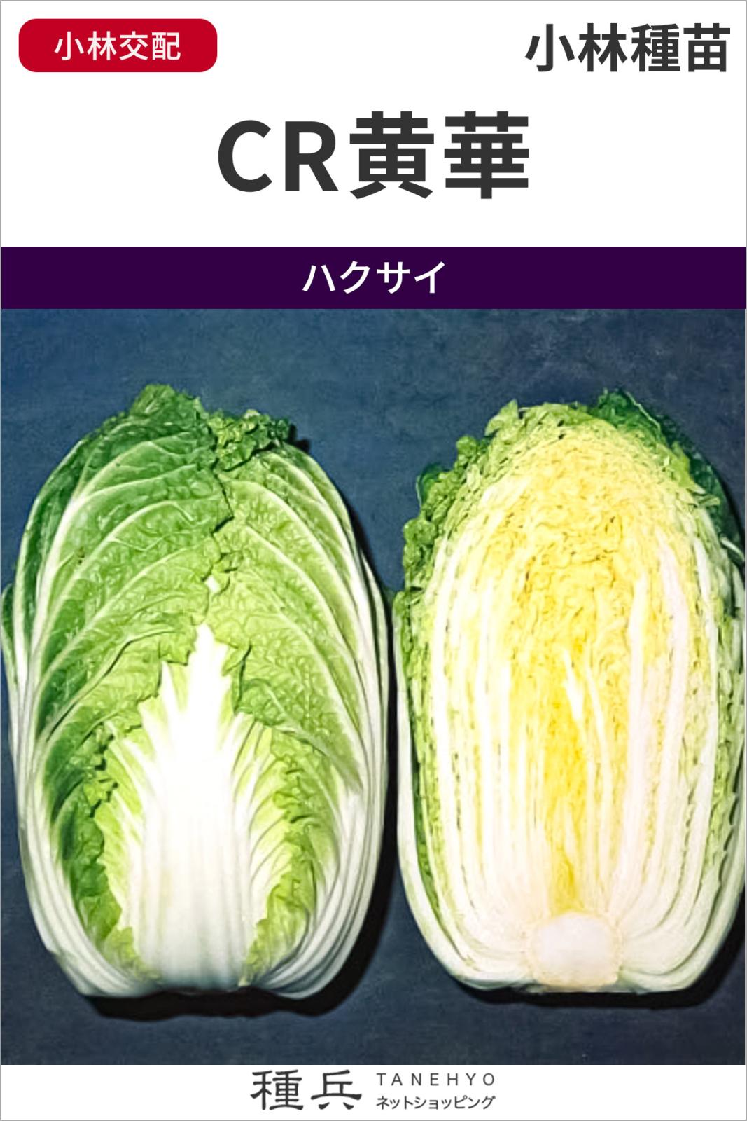 ハクサイ 種 『CR黄華』  小林種苗