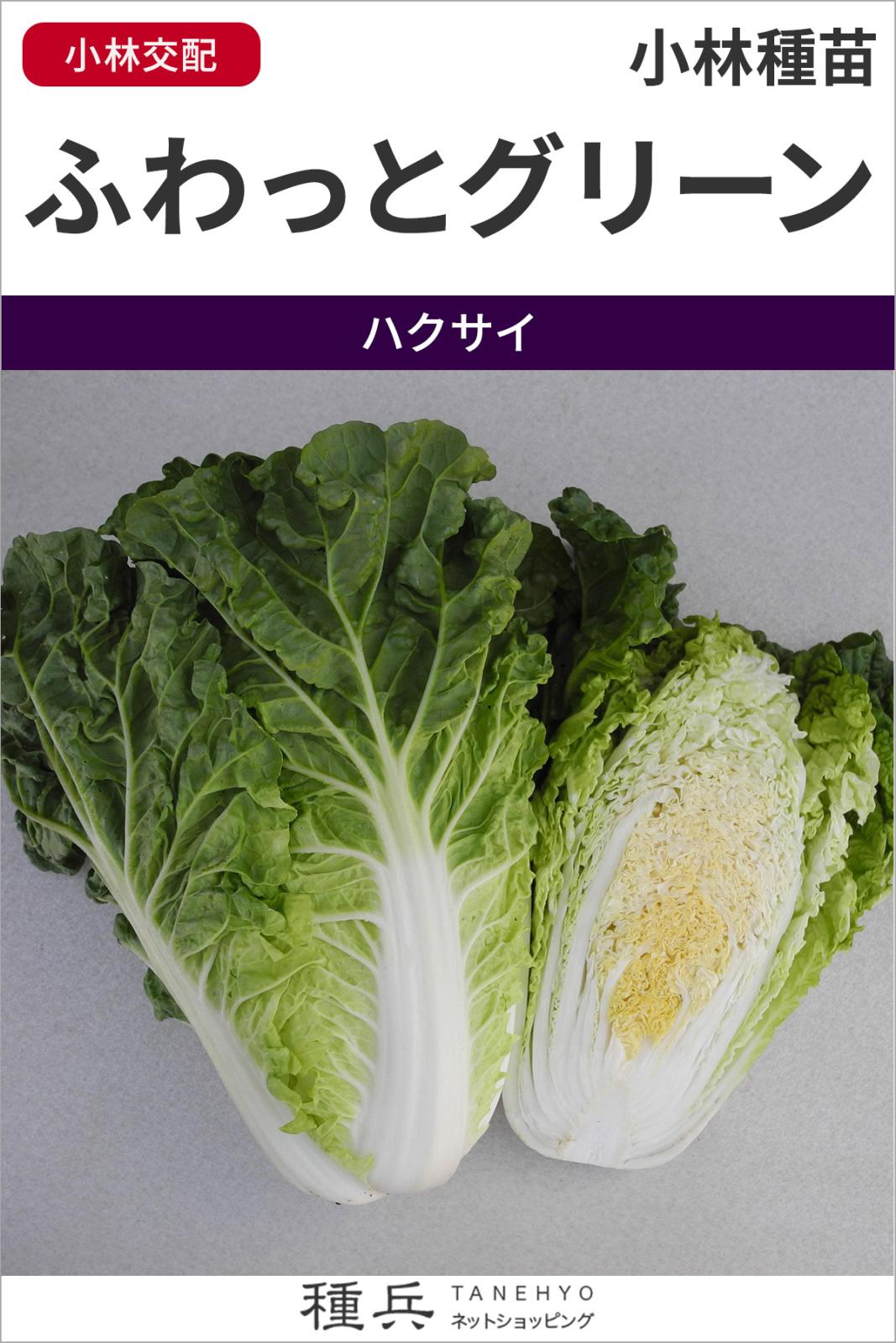 ハクサイ 種 『ふわっとグリーン』  小林種苗